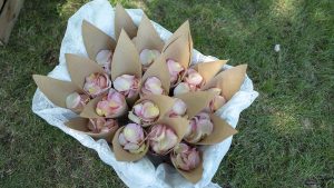 Freie Trauung Streu Blumen Hochzeitsglück Minden